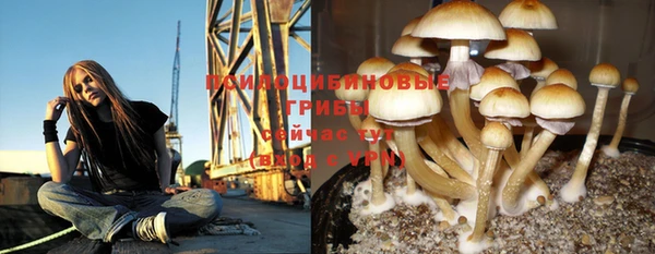 гидра Бугульма