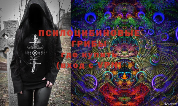 ГАЛЛЮЦИНОГЕННЫЕ ГРИБЫ Бронницы
