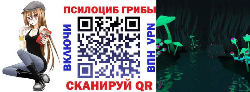 Галлюциногенные грибы Psilocybe  Гуково 